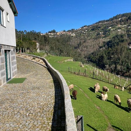 Quinta De Varzielas - Agroturismo Castelo de Paiva Ngoại thất bức ảnh