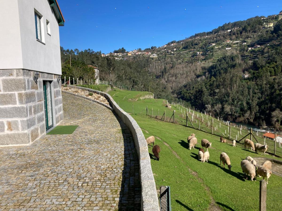 Quinta De Varzielas - Agroturismo Castelo de Paiva Ngoại thất bức ảnh