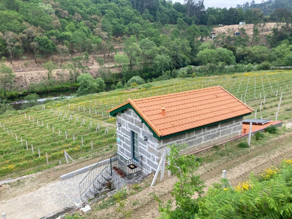 Quinta De Varzielas - Agroturismo Castelo de Paiva Ngoại thất bức ảnh