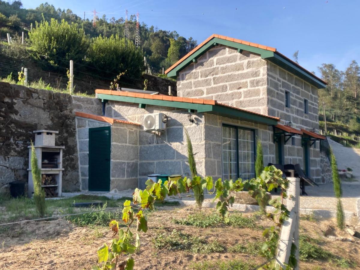 Quinta De Varzielas - Agroturismo Castelo de Paiva Ngoại thất bức ảnh